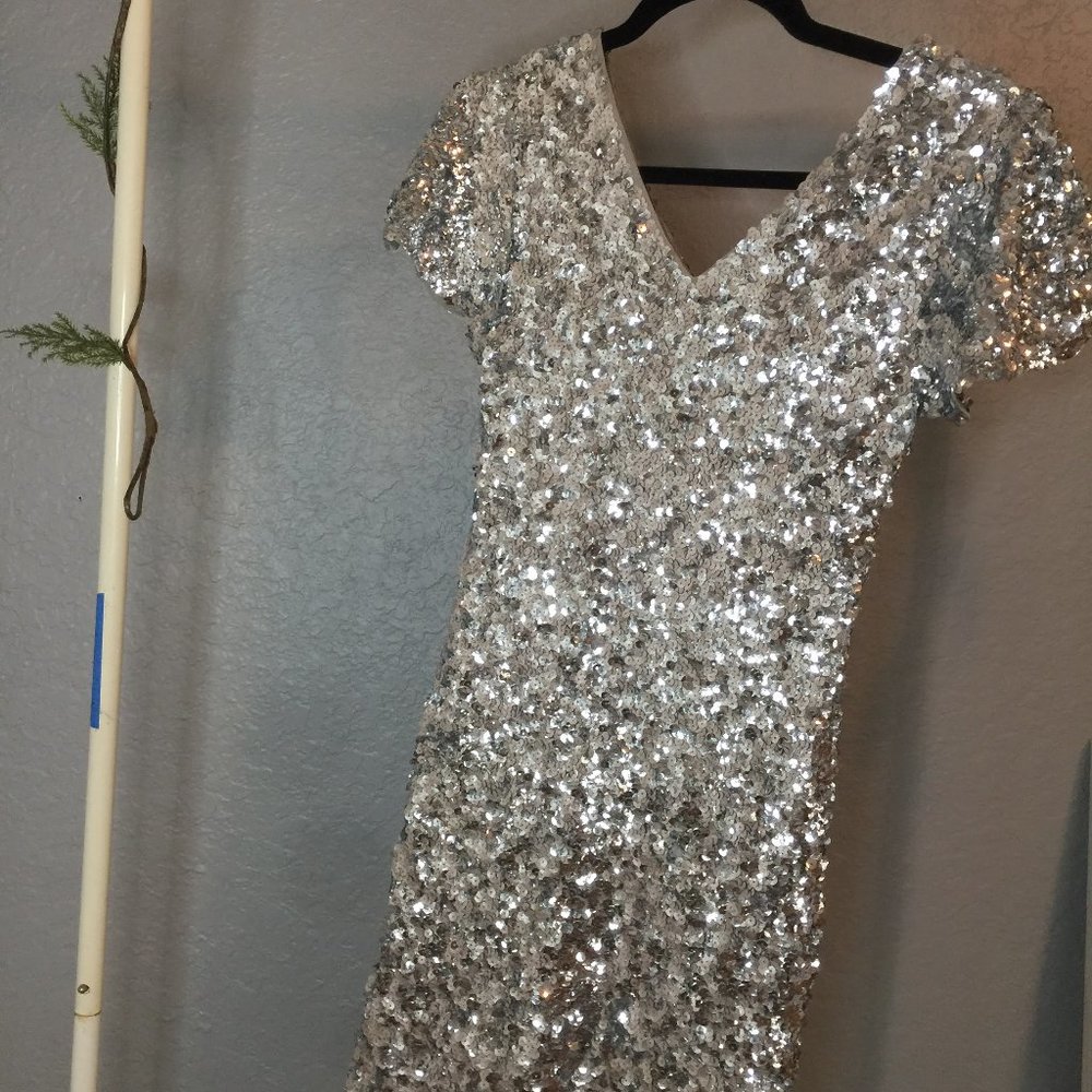 Silver Sequined Form Fitting Dress